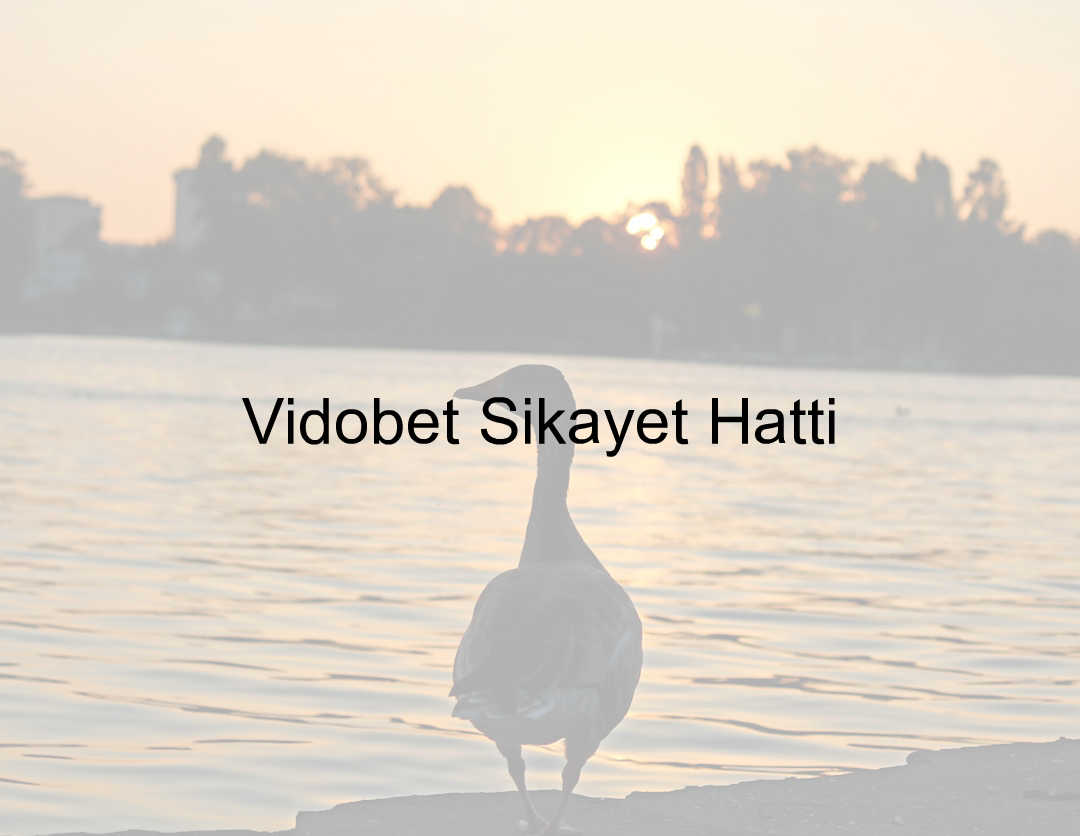 Vidobet Şikayet Hattı 1 Vidobet şikayet